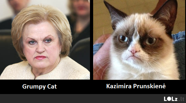 Grumpy Kazimiera
