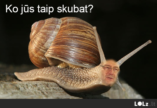 Ko jūs taip skubat