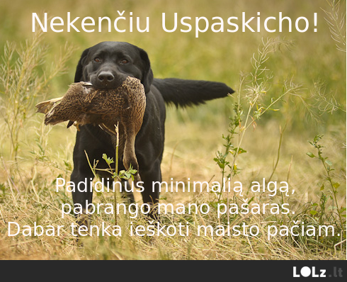 Mūsų augintiniai nekenčia Uspaskicho