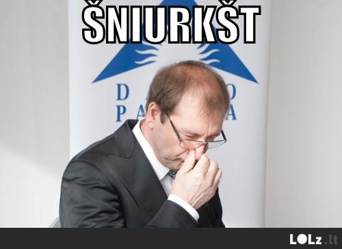 unisezoninė sloga