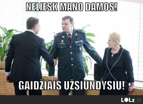 viršiausias cicino fanas